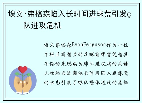 埃文·弗格森陷入长时间进球荒引发球队进攻危机 埃文·弗格森陷入长时间进球荒引发球队进攻危机